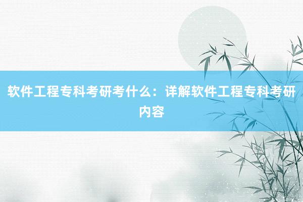 软件工程专科考研考什么:详解软件工程专科考研内容